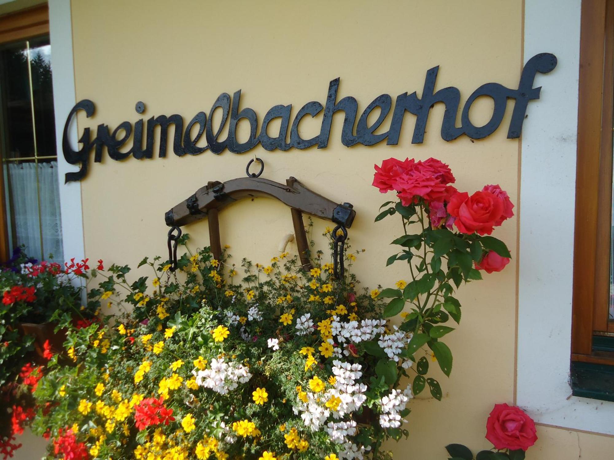 Pension-Greimelbacherhof Ramsau am Dachstein Exterior foto