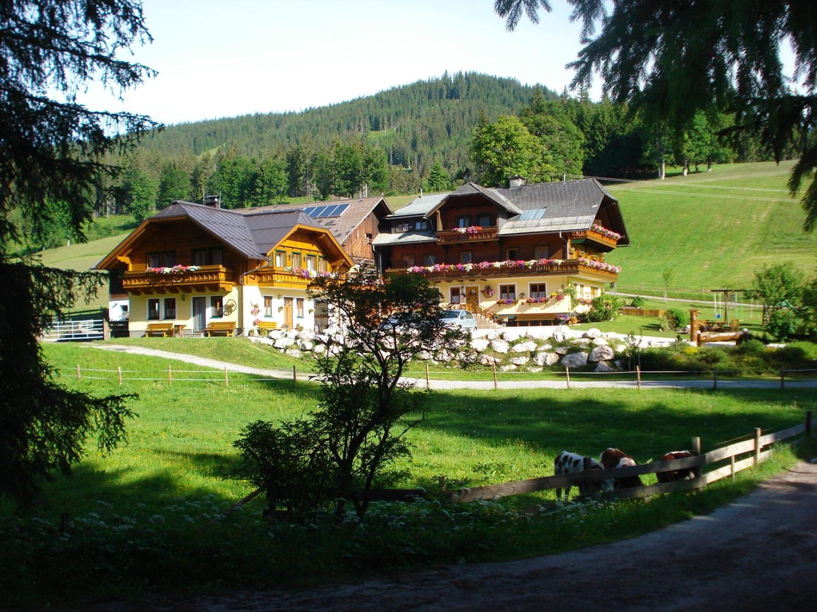 Pension-Greimelbacherhof Ramsau am Dachstein Exterior foto