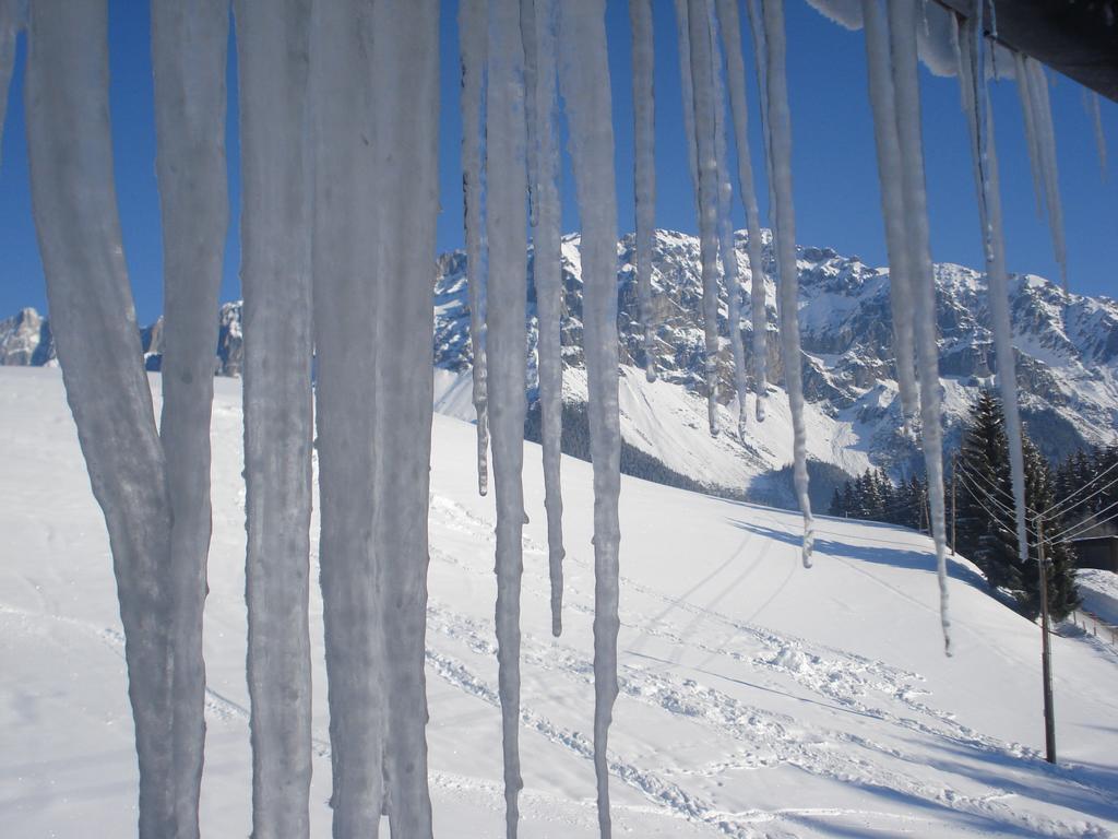 Pension-Greimelbacherhof Ramsau am Dachstein Exterior foto