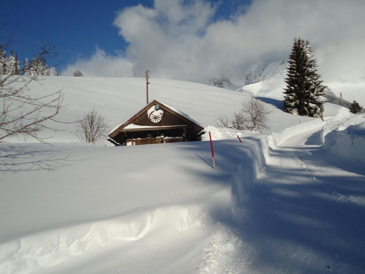 Pension-Greimelbacherhof Ramsau am Dachstein Exterior foto